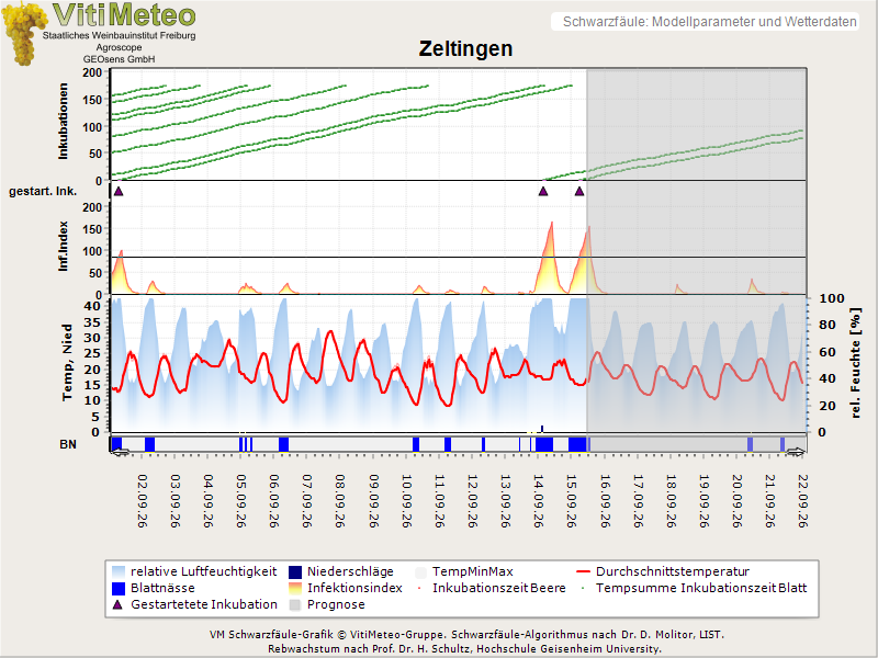 Perografik