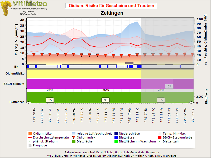 Oidiumgrafik