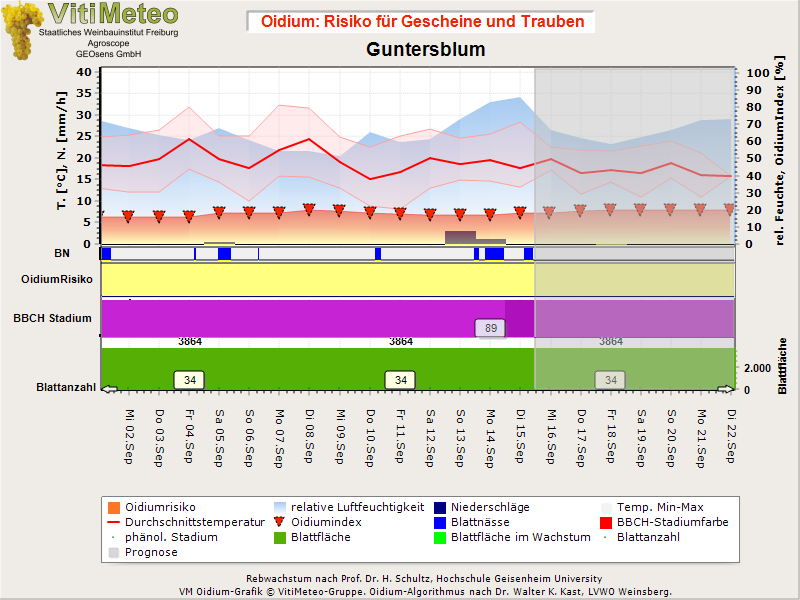 Oidiumgrafik