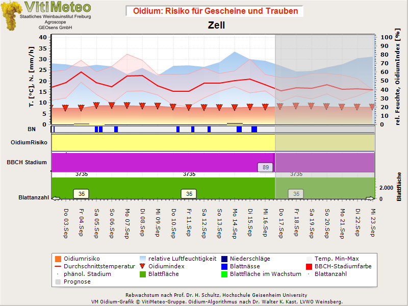 Oidiumgrafik