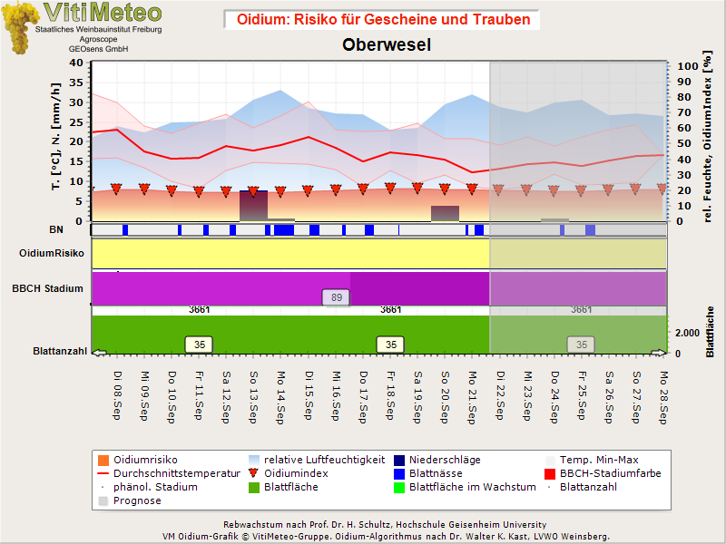Oidiumgrafik