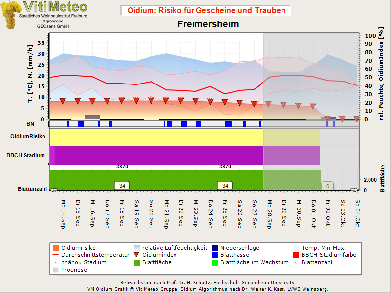 Oidiumgrafik