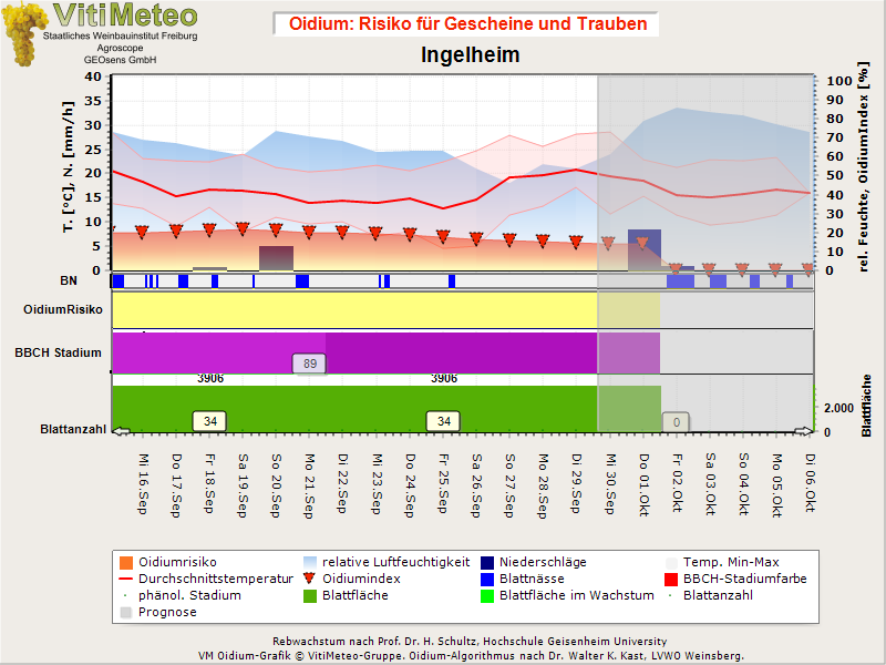 Oidiumgrafik