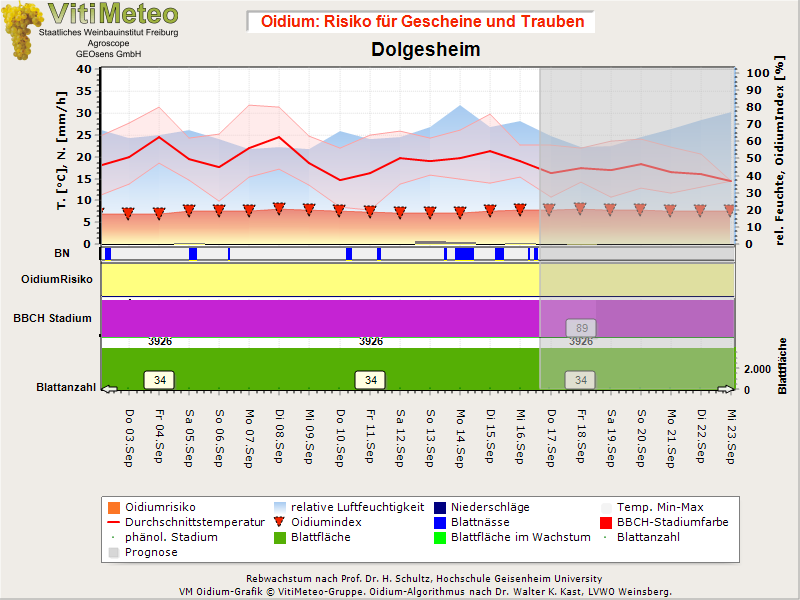 Oidiumgrafik