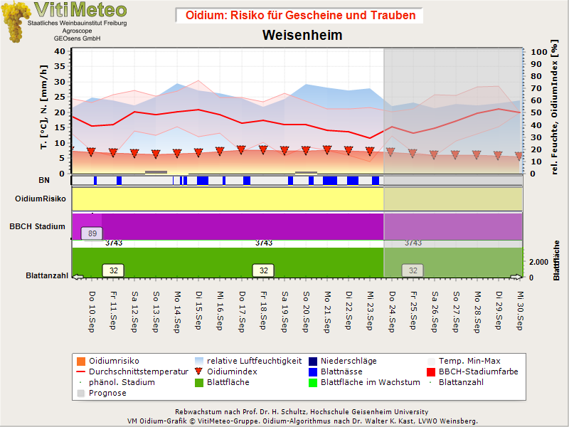 Oidiumgrafik