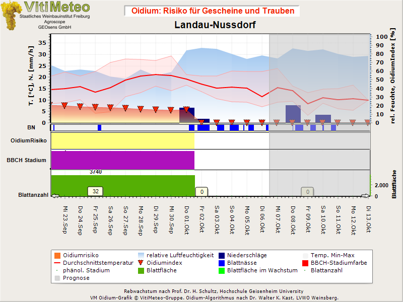 Oidiumgrafik