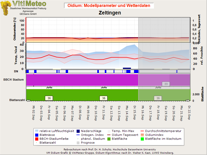 Oidiumgrafik