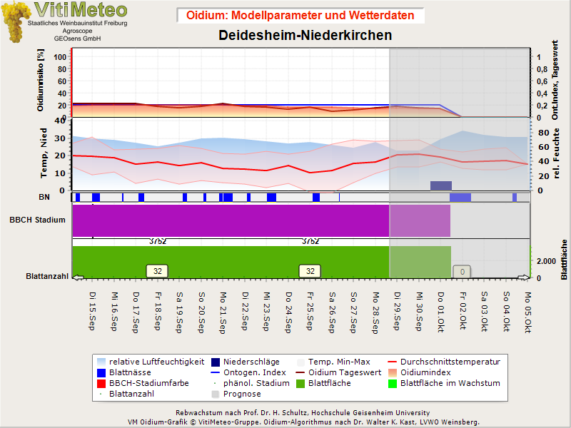 Oidiumgrafik