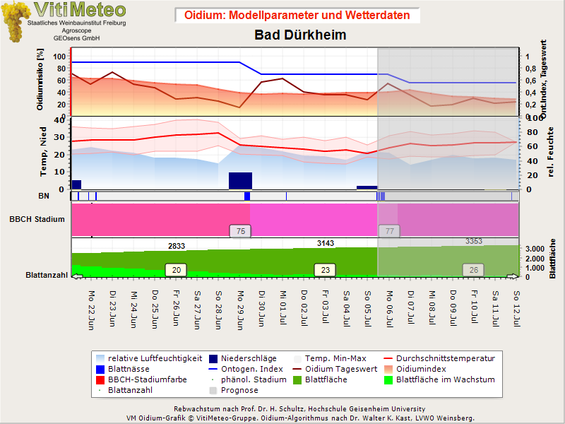 Oidiumgrafik