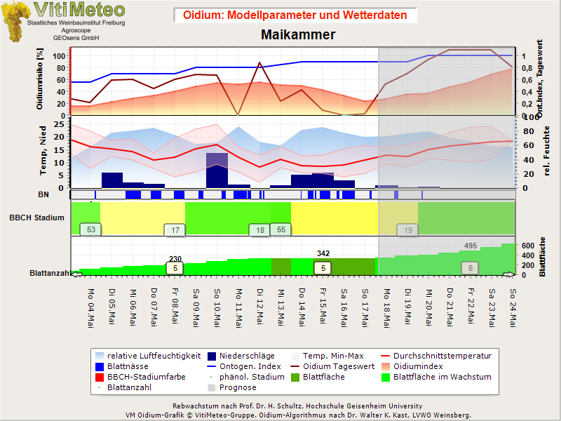 Oidiumgrafik