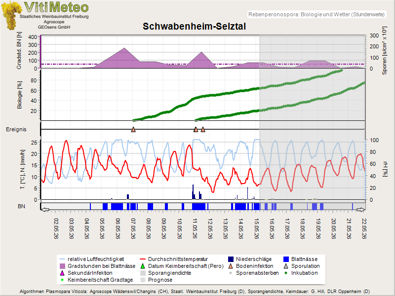 Perografik