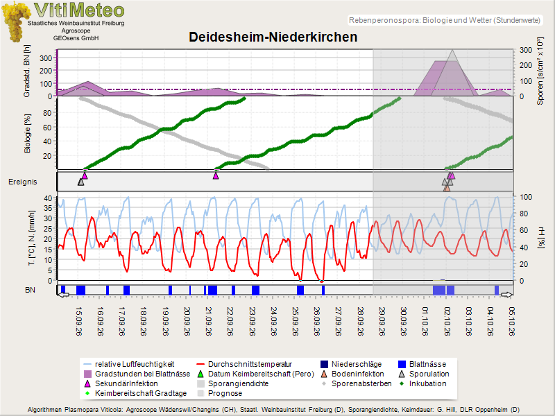Perografik
