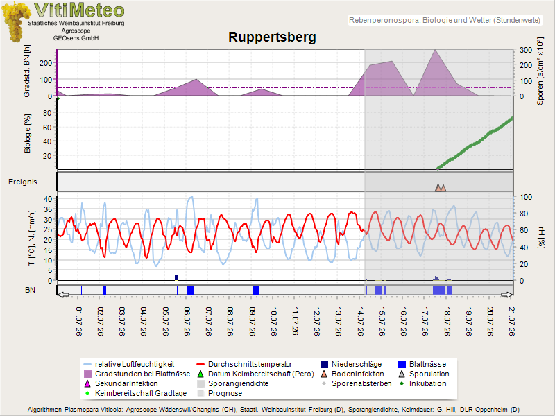 Perografik