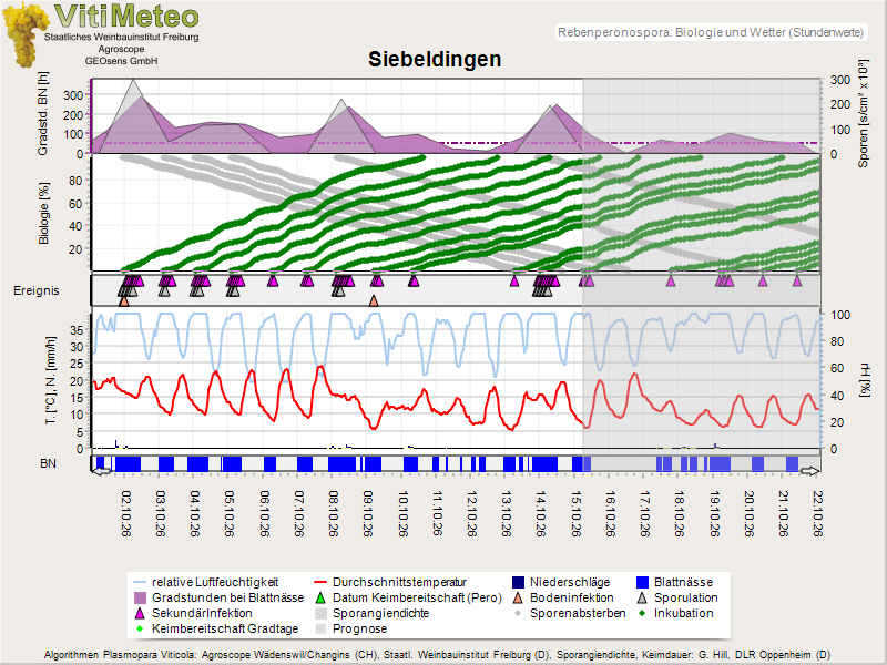 Perografik