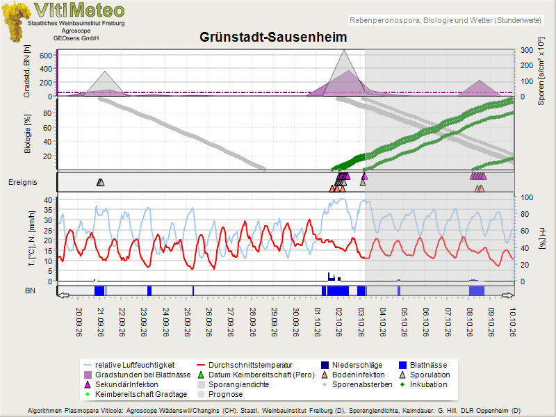 Perografik