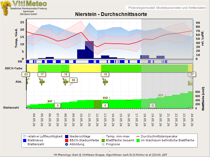 Perografik