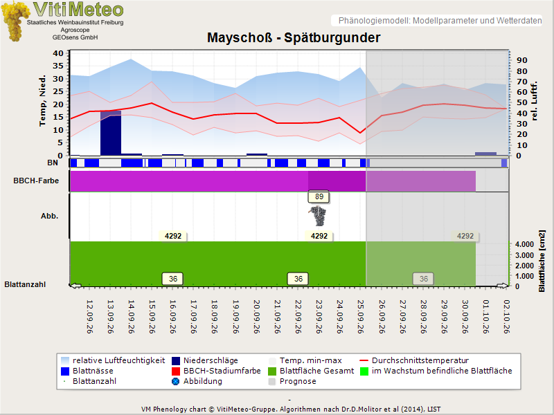 Perografik