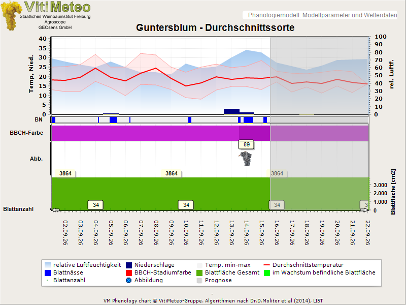 Perografik