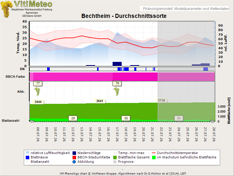 Perografik
