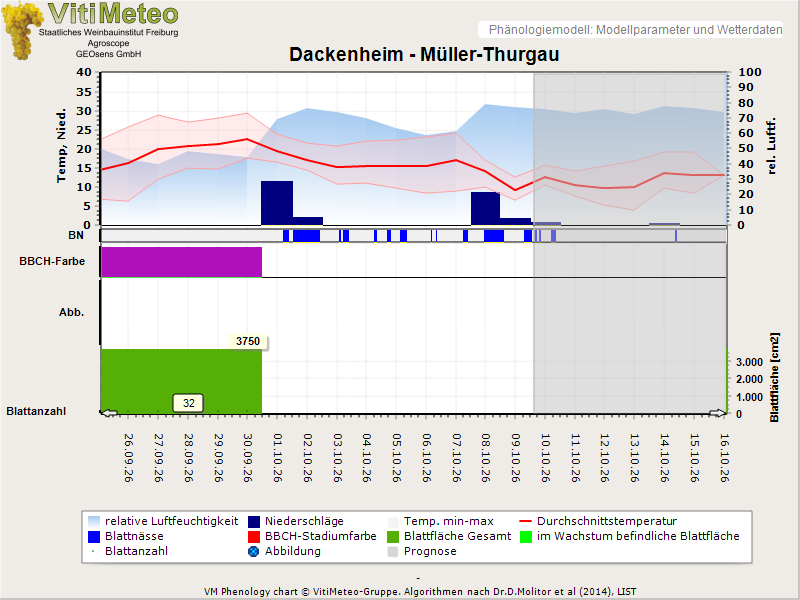 Perografik