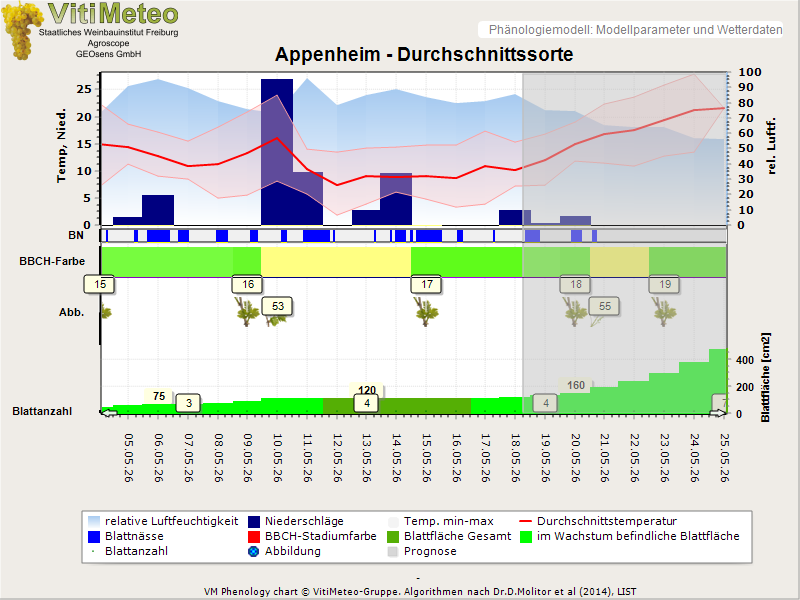 Perografik