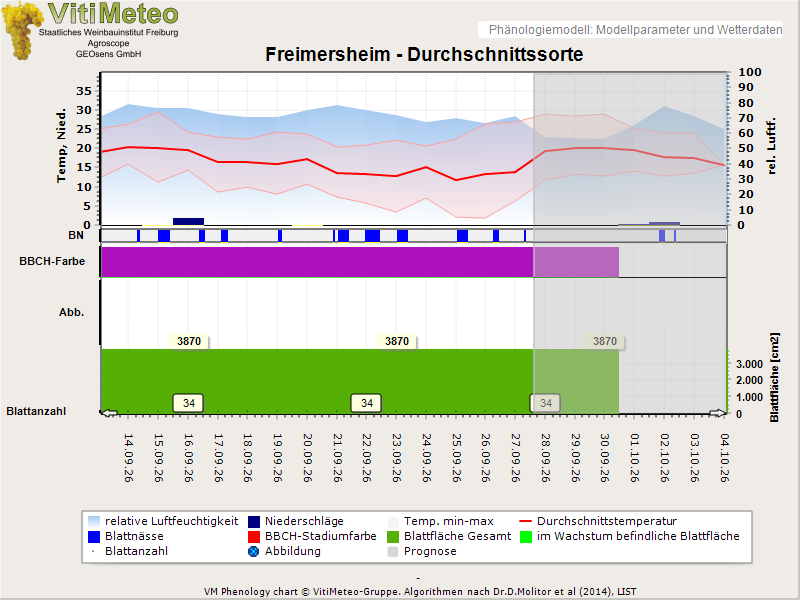 Perografik