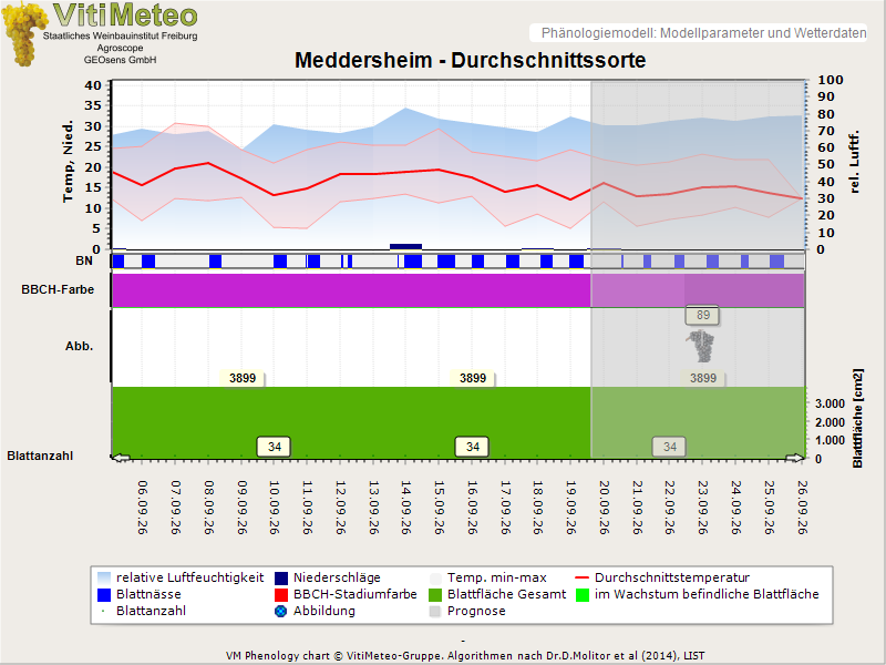 Perografik