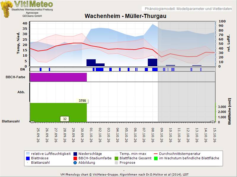 Perografik