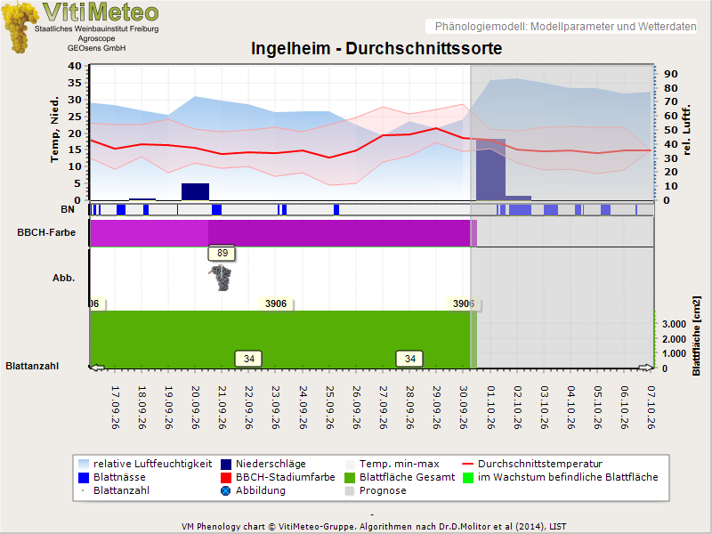 Perografik
