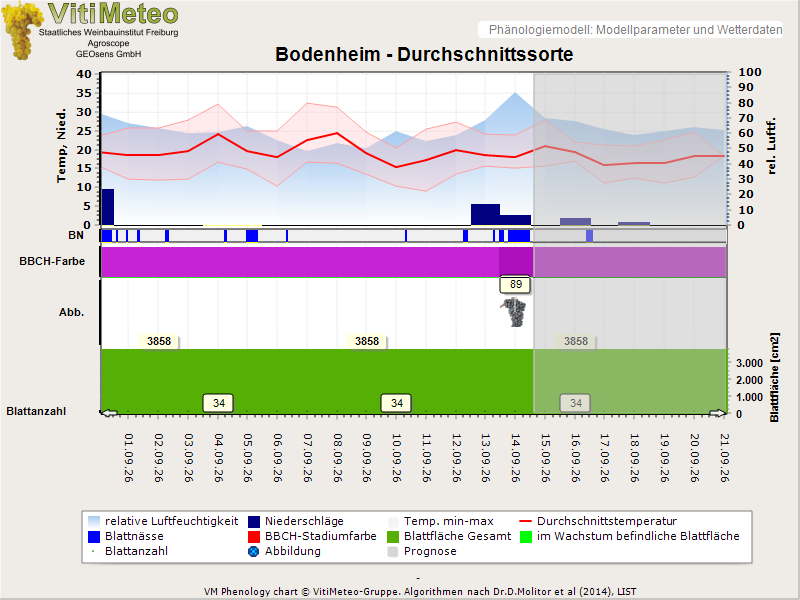 Perografik