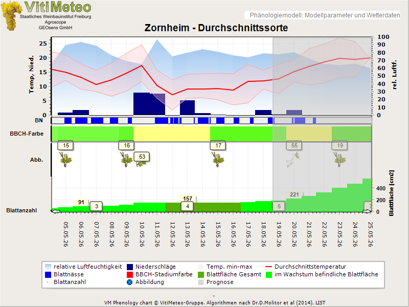 Perografik