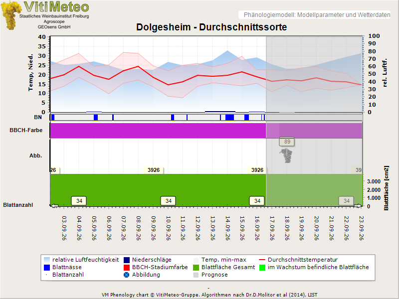 Perografik