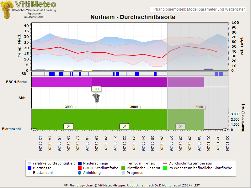 Perografik