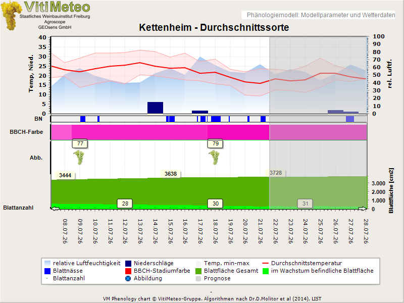 Perografik