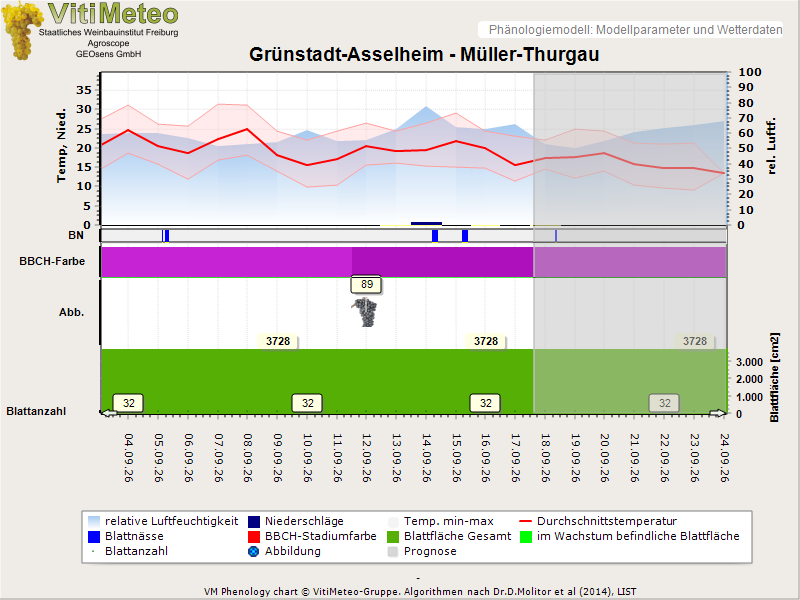 Perografik