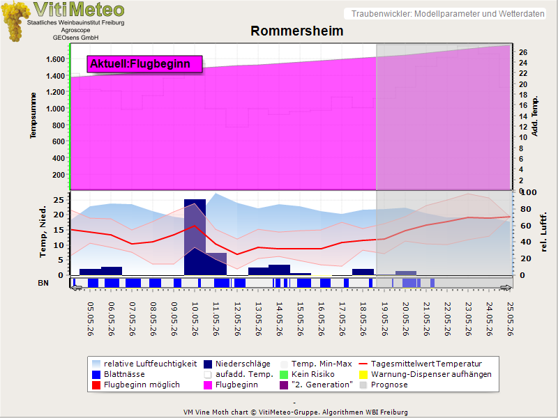Perografik